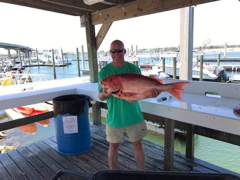 Charter Fishing in Orange Beach | Max of 6 Guest